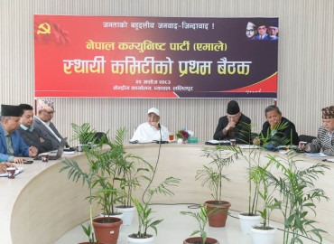 category photo