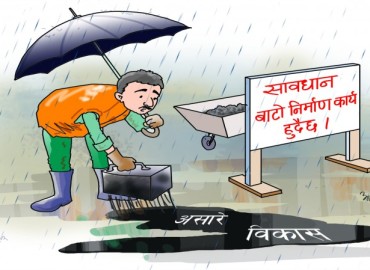 category photo