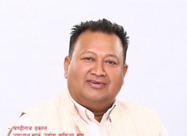 category photo