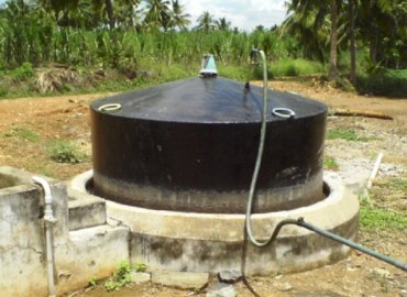 category photo