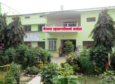 category photo
