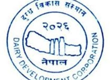 category photo