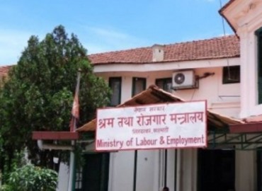 category photo