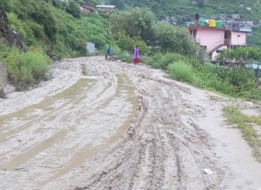 category photo