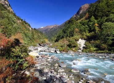 category photo