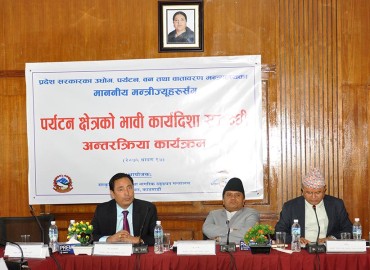 category photo