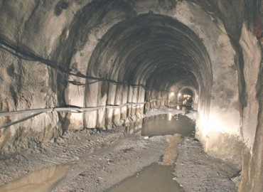 category photo