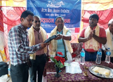 category photo