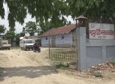 category photo