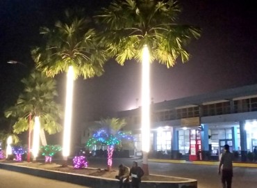 category photo
