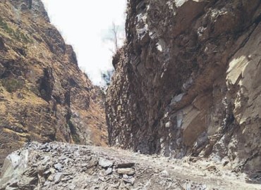 category photo