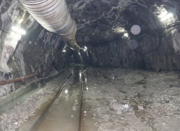 category photo