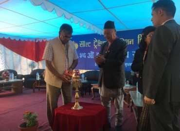 category photo
