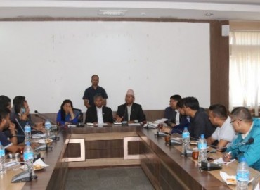 category photo