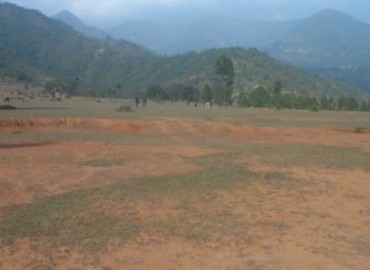 category photo