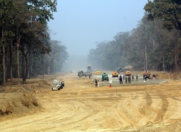 category photo
