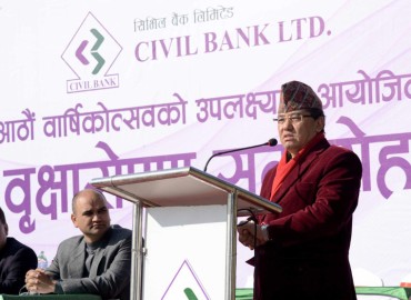 category photo