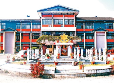 category photo