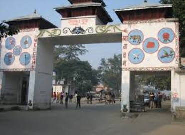 category photo