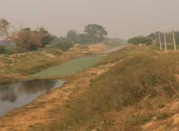 category photo