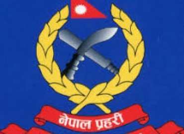 category photo