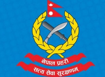 category photo