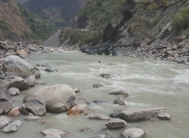 category photo