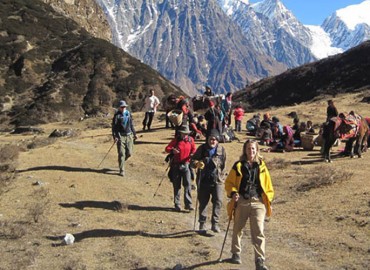 category photo