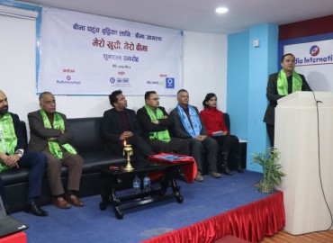 category photo