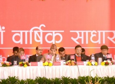 category photo