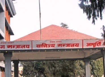 category photo