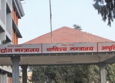 category photo