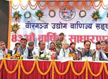category photo