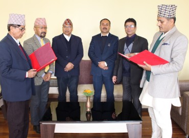 category photo