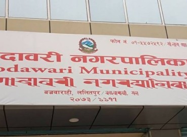 category photo