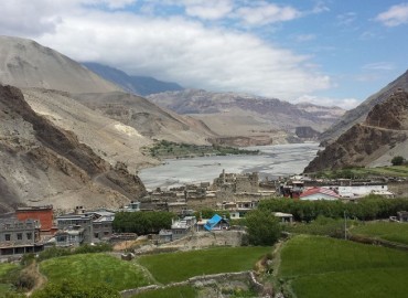 category photo