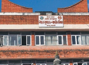 category photo