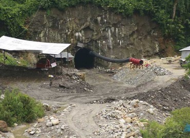 category photo
