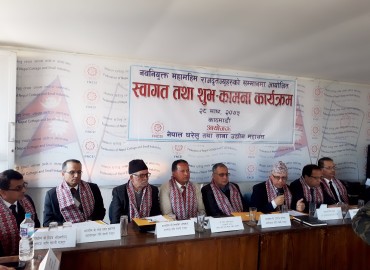 category photo