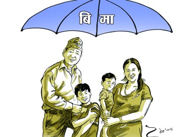 category photo