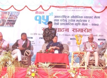 category photo