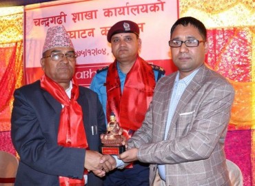 category photo