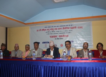 category photo