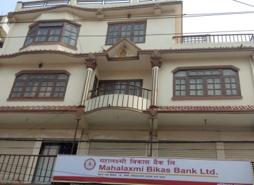 category photo