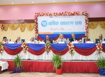category photo