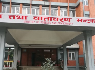 category photo