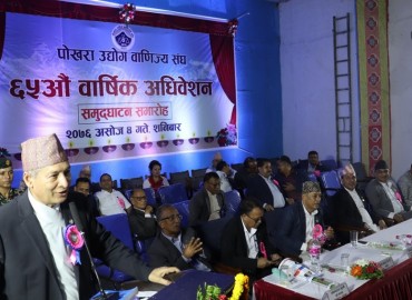 category photo