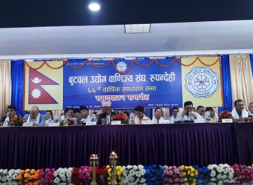 category photo