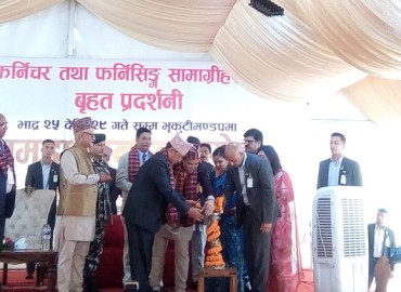 category photo