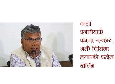 category photo